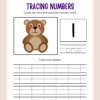 Numbers Work Book