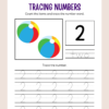 Numbers Work Book